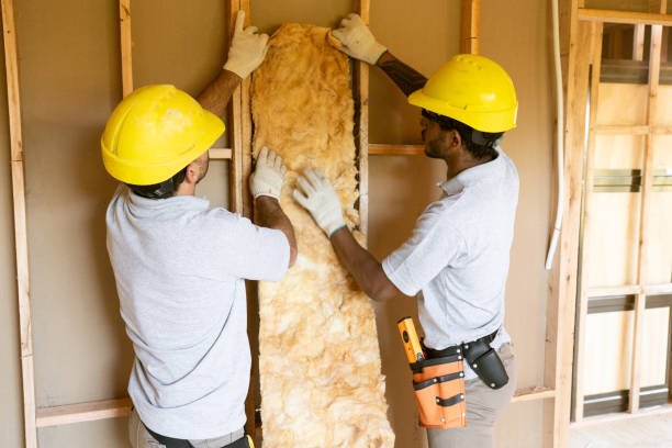 Best Insulation Replacement Services  in Fort Leonard Wood, MO